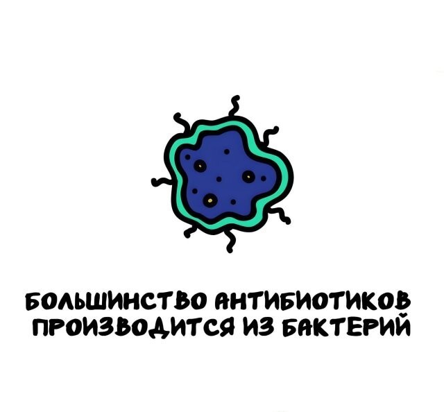 А вдруг ты не знал…