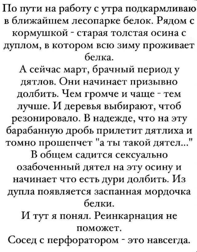 Скрины из соцсетей            