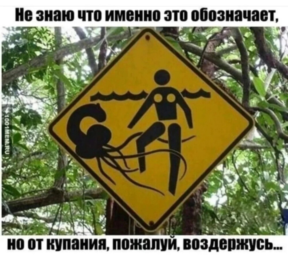 Тарелка улыбатора