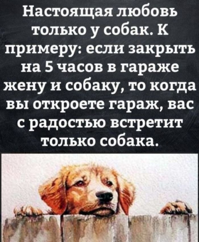 Тарелка улыбатора