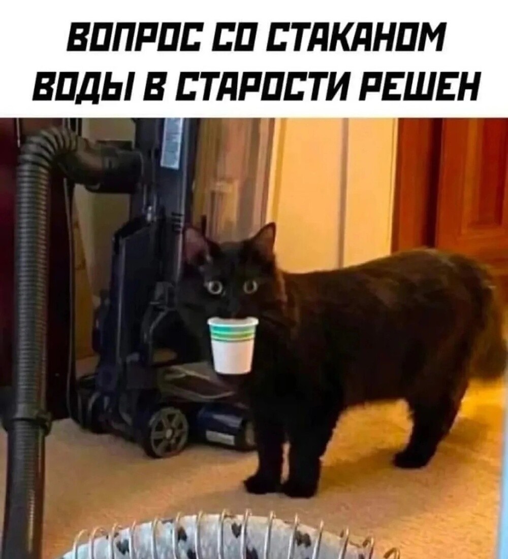 Тарелка улыбатора