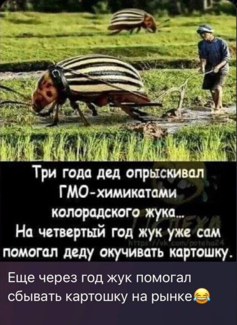 Тарелка улыбатора