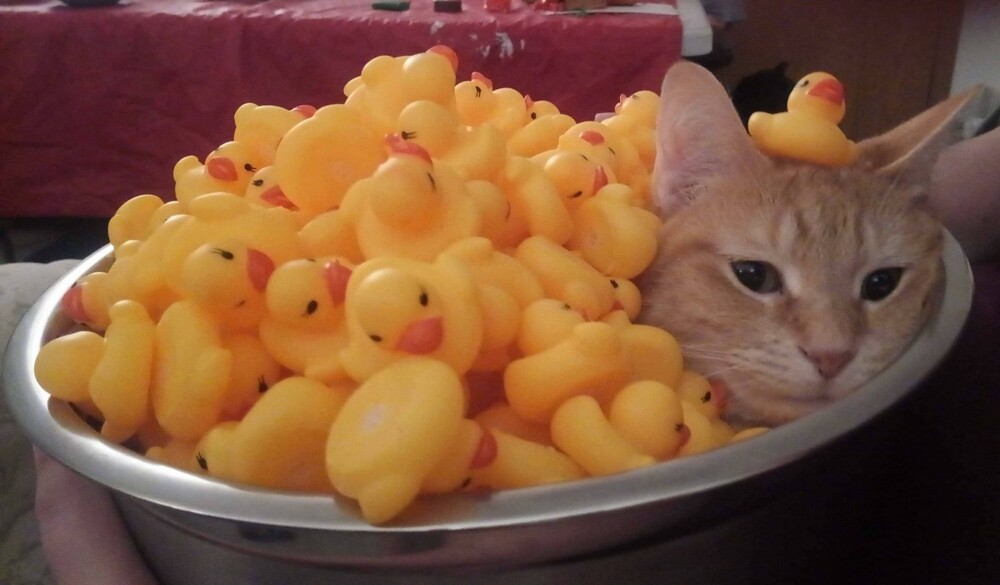 На общую тему 