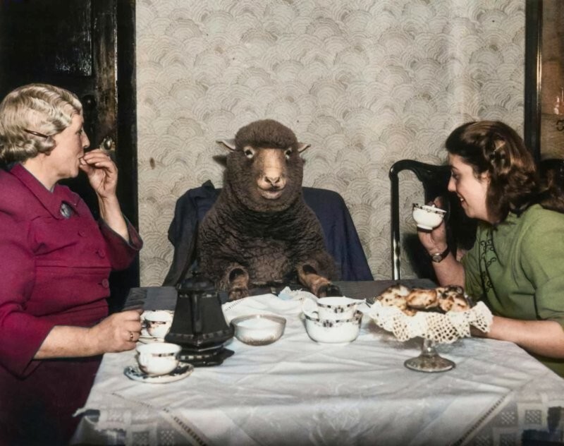 Подборка фотографий из прошлого, которые заставляют удивиться