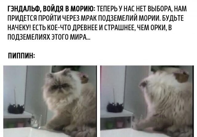 Скрины из соцсетей