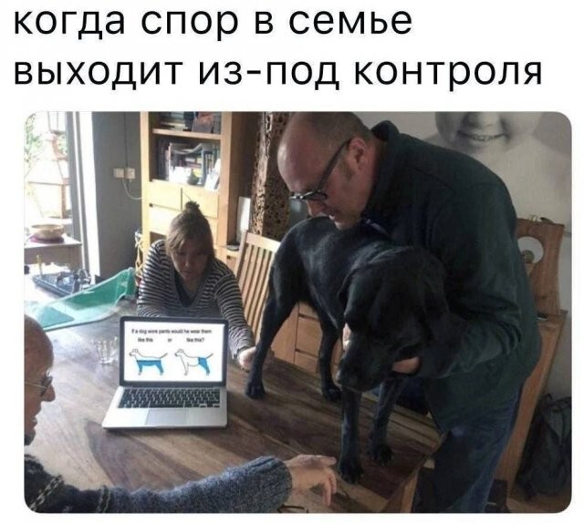 Скрины из соцсетей