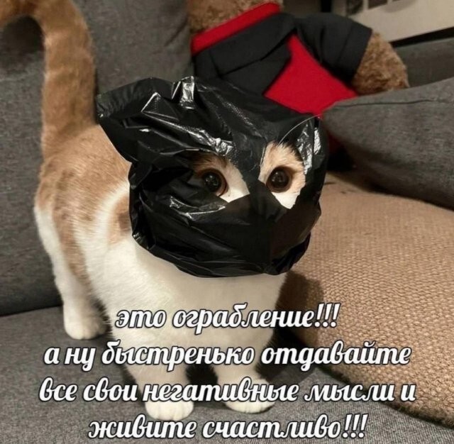 Скрины из соцсетей