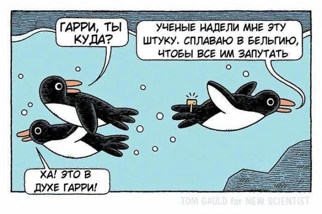 Скрины из соцсетей