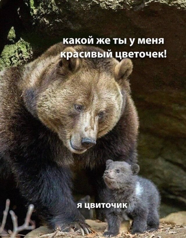 Скрины из соцсетей