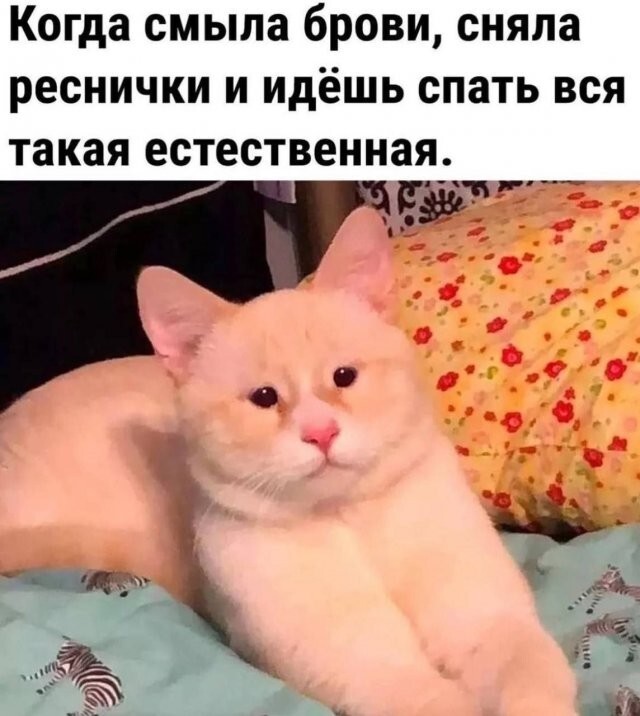 Скрины из соцсетей