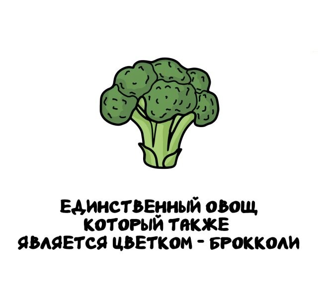 А вдруг ты не знал…