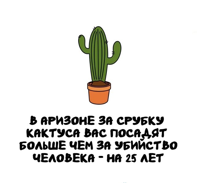А вдруг ты не знал…