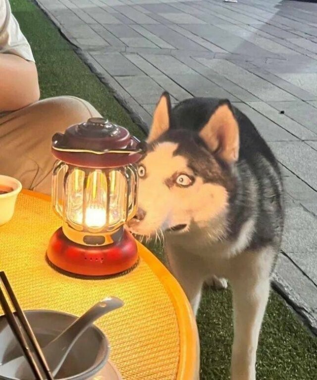 Намешалось