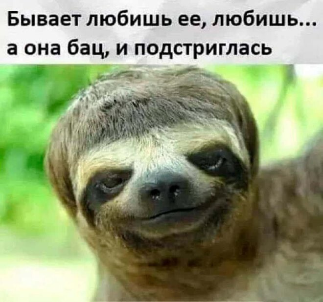 Не ищите здесь смысл. Здесь в основном маразм