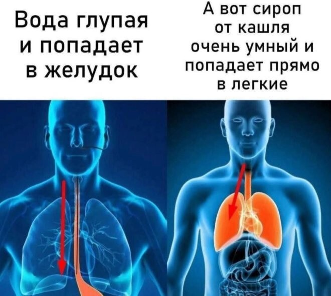 Не ищите здесь смысл. Здесь в основном маразм