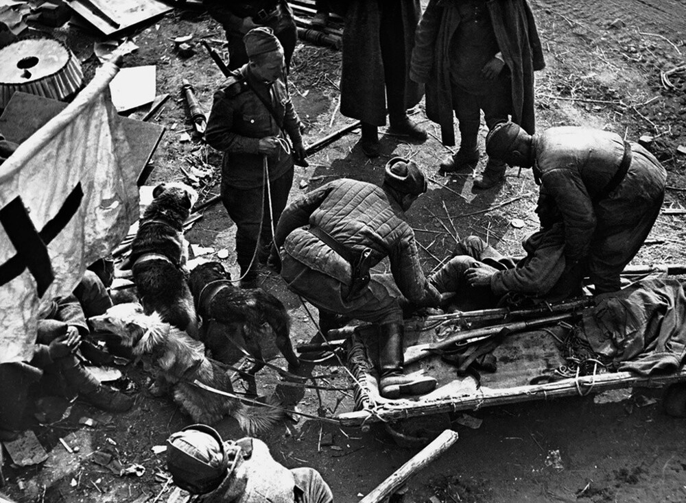 Раненый доставлен в медсанбат. 1945 год. Автор: Валерий Фаминский. Германия, Зелов.