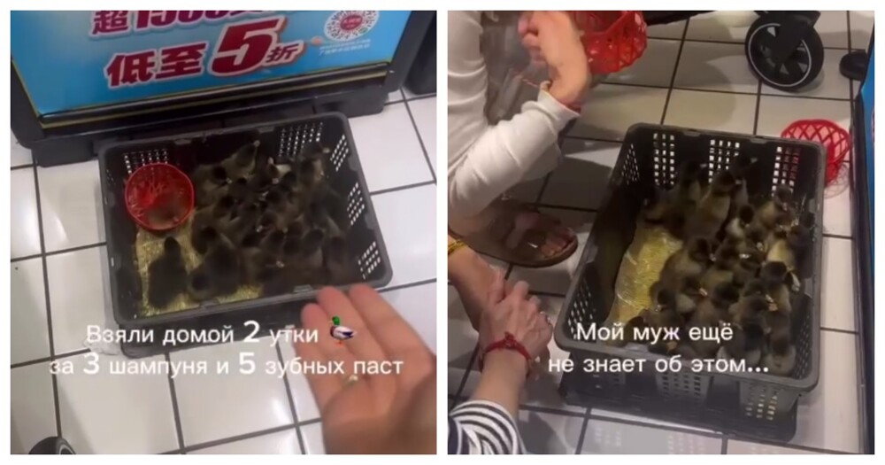 Необычный маркетинговый ход в китайском магазине