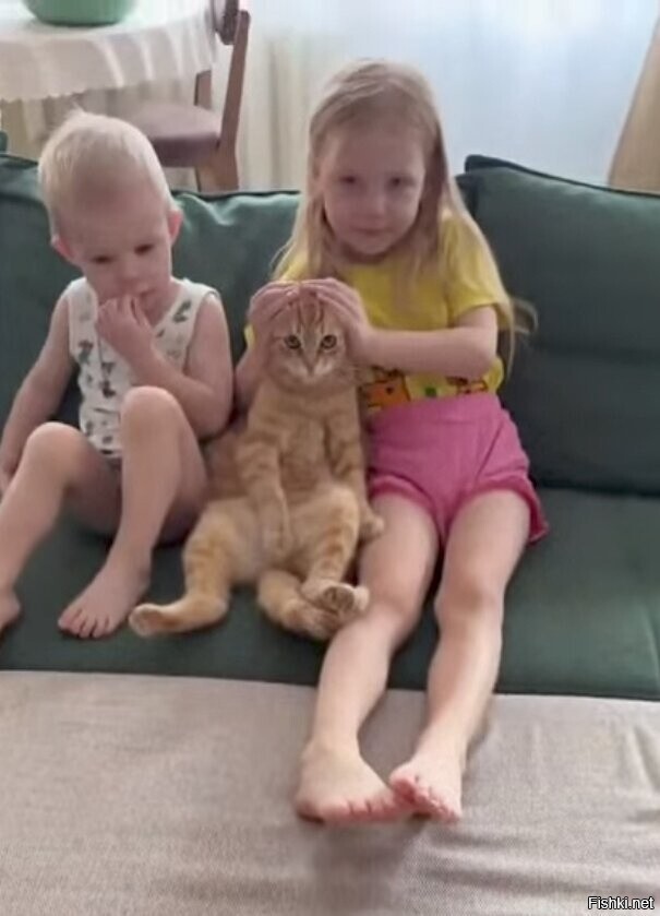 Спокойная жизнь для котика, это святое
