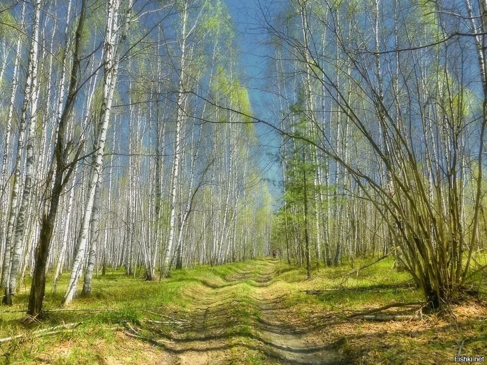 С добрым утром