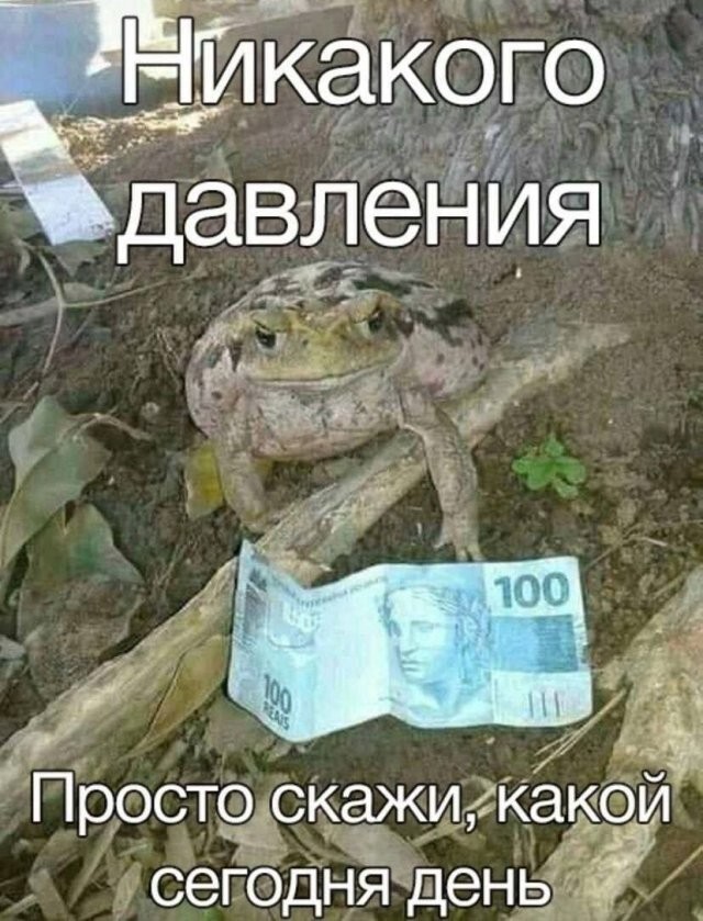 Скрины из соцсетей