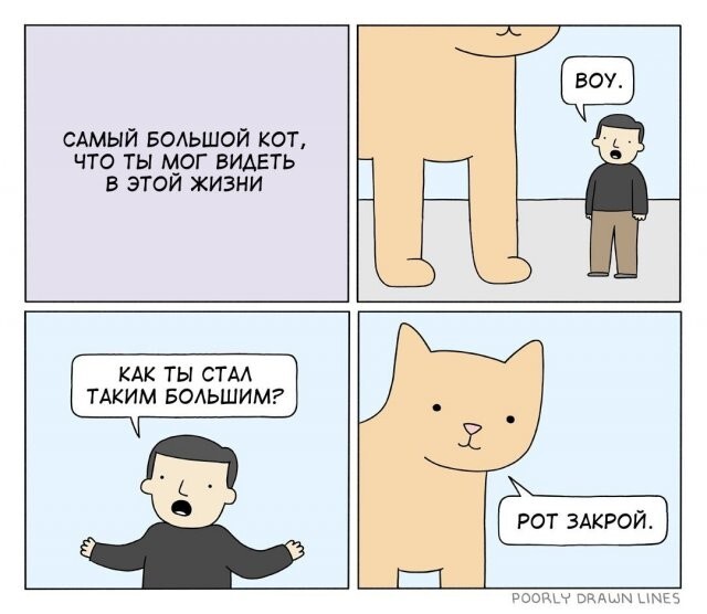 Скрины из соцсетей