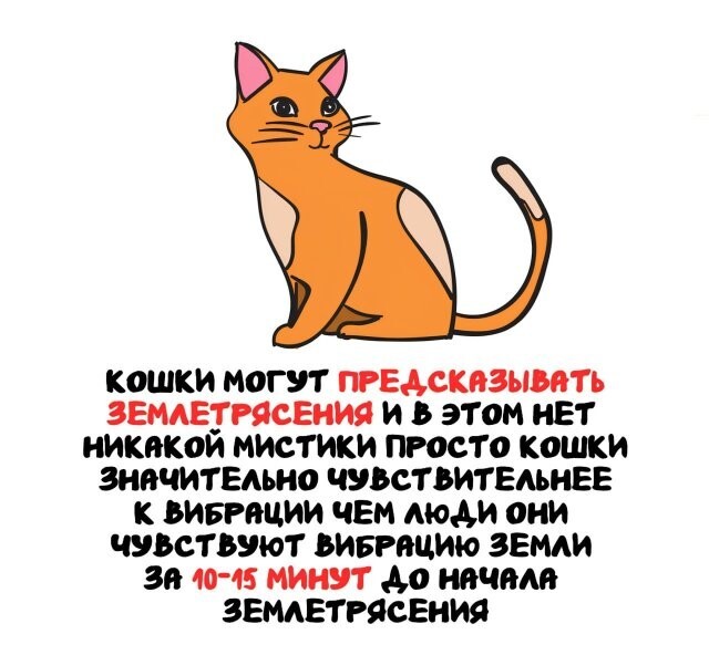 А вдруг ты не знал…