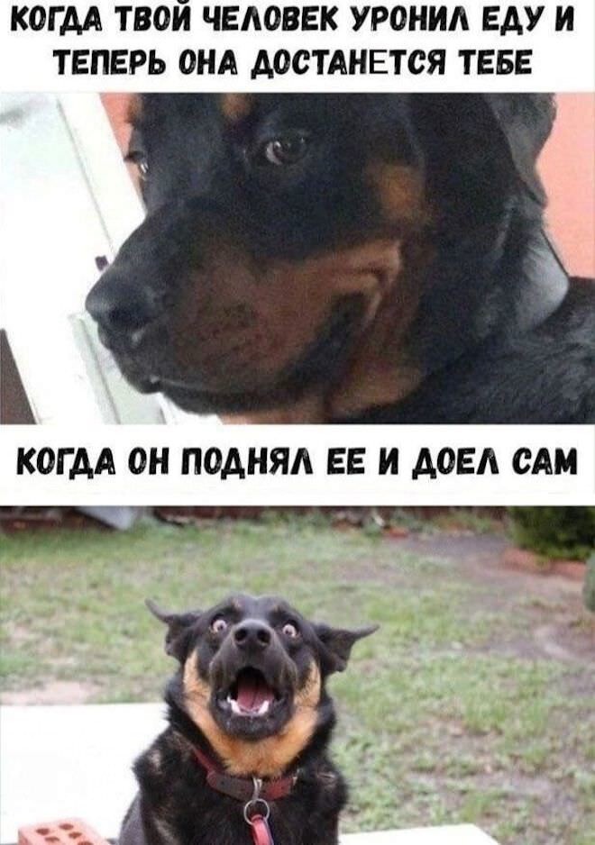 Смешные картинки