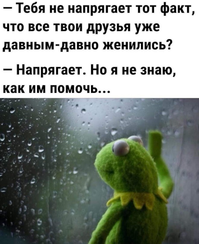 Смешные картинки