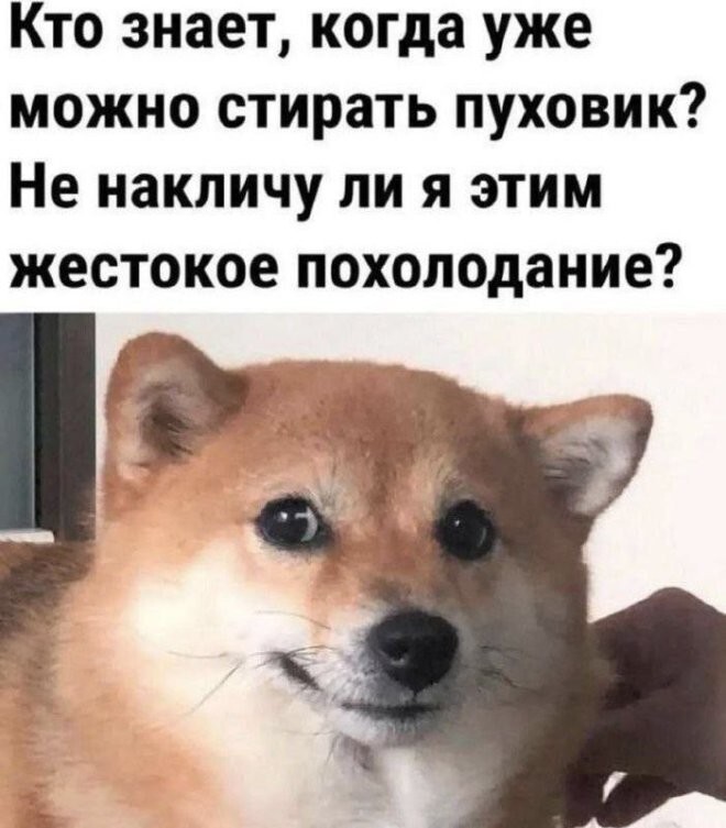 Смешные картинки