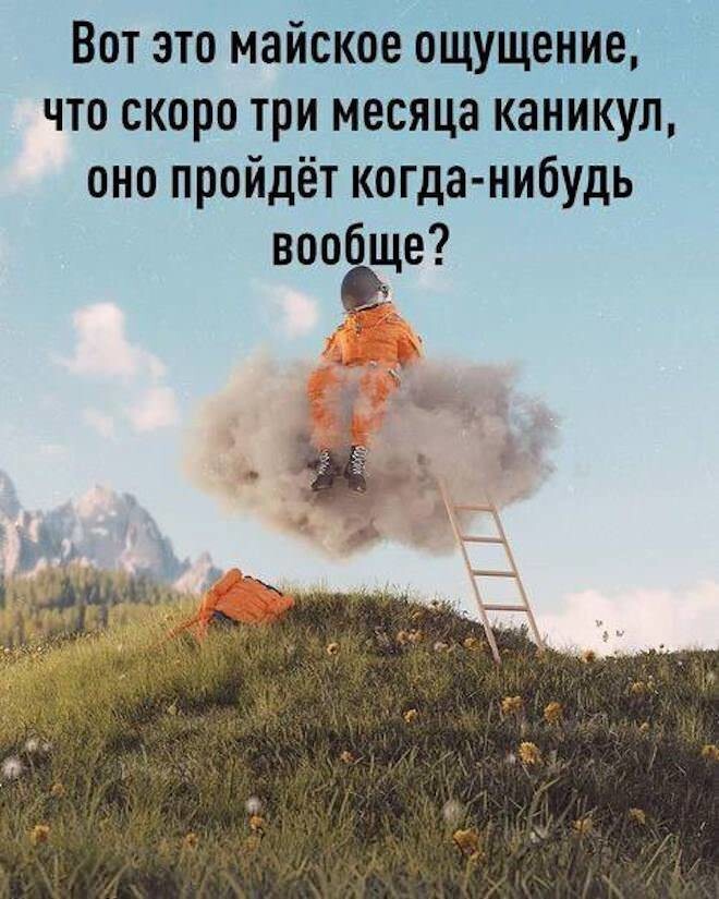 Смешные картинки