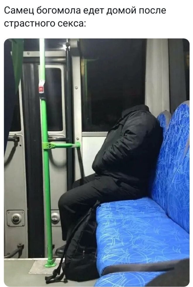 Смешные картинки