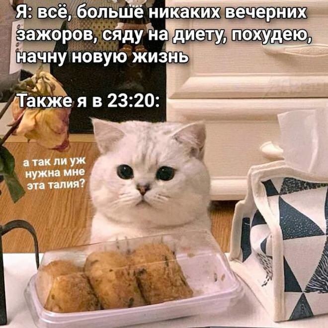 Смешные картинки