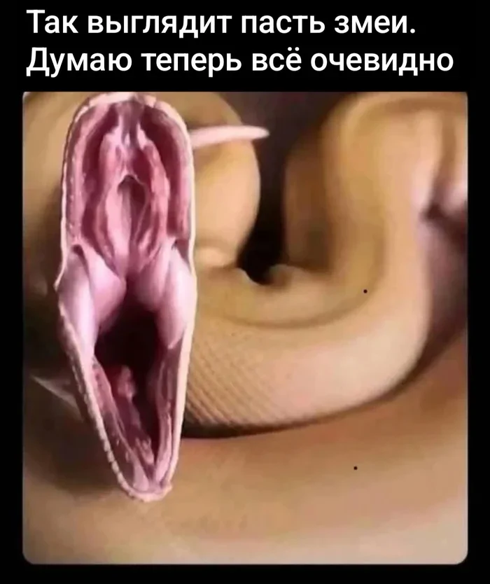 Не ищите здесь смысл. Здесь в основном маразм