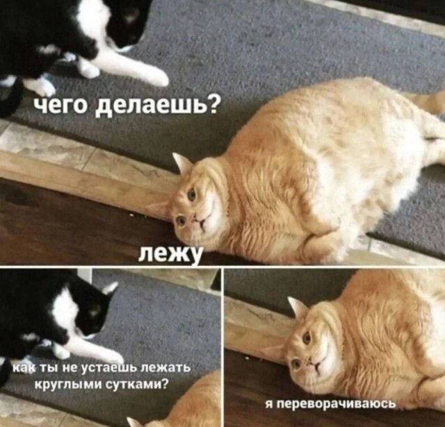 Не ищите здесь смысл. Здесь в основном маразм