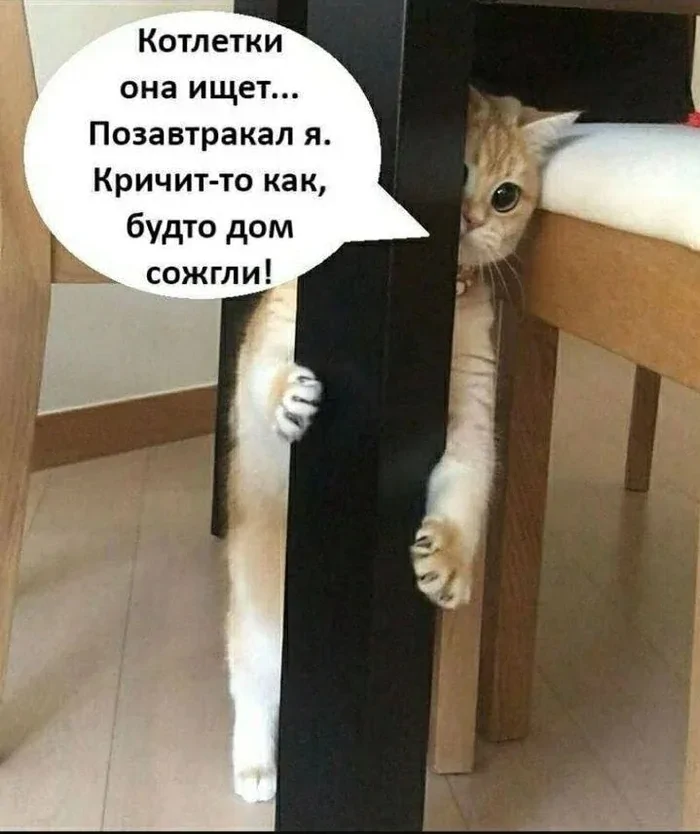 Не ищите здесь смысл. Здесь в основном маразм