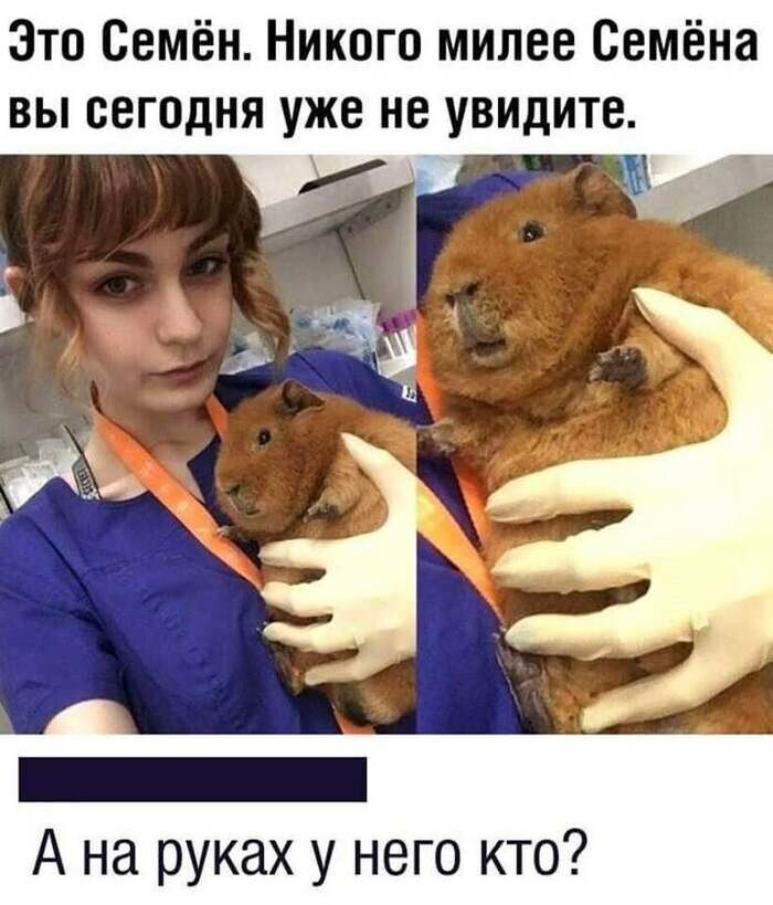 Не ищите здесь смысл. Здесь в основном маразм