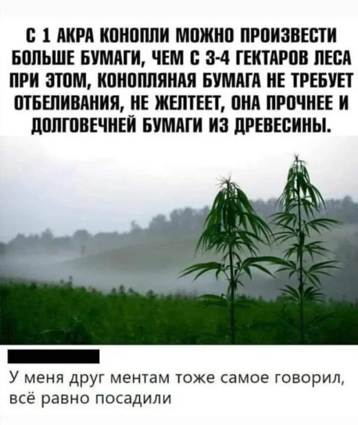 Не ищите здесь смысл. Здесь в основном маразм