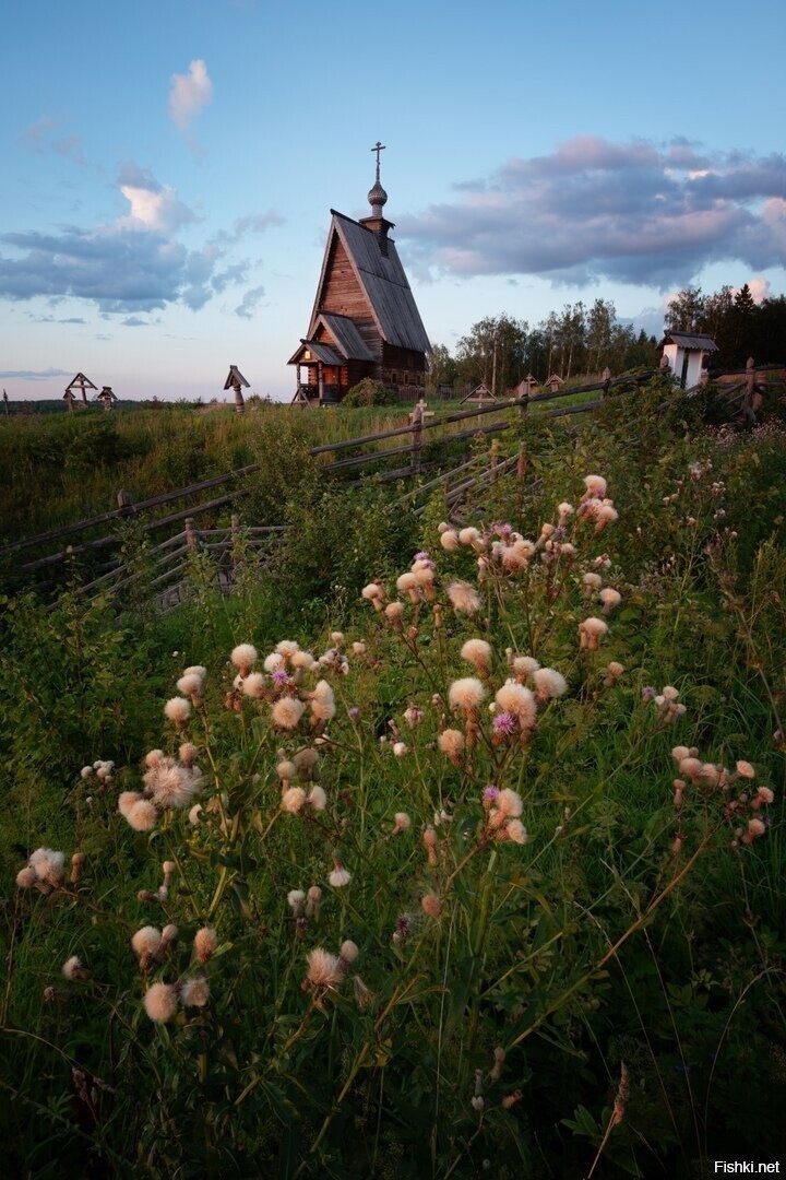 Солянка