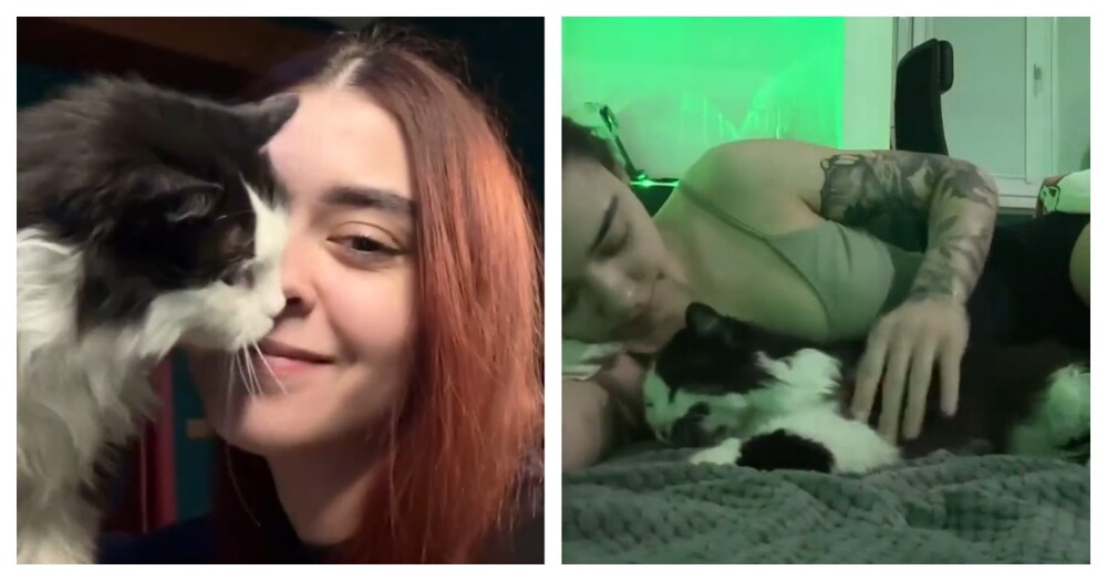 Кошка завела себе человека