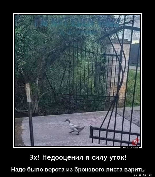 Демотиваторы-приколы в середине недели