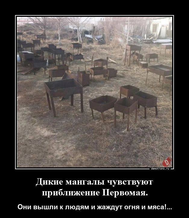Дикие мангалы чувствуют приближение Первомая.