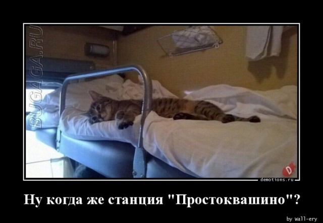Демотиваторы-приколы в середине недели