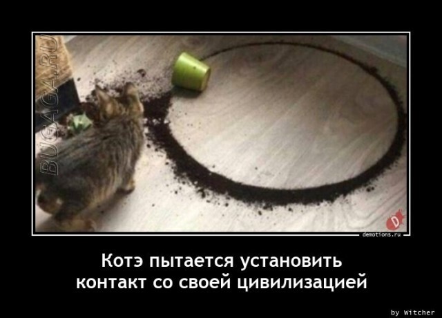 Демотиваторы-приколы в середине недели