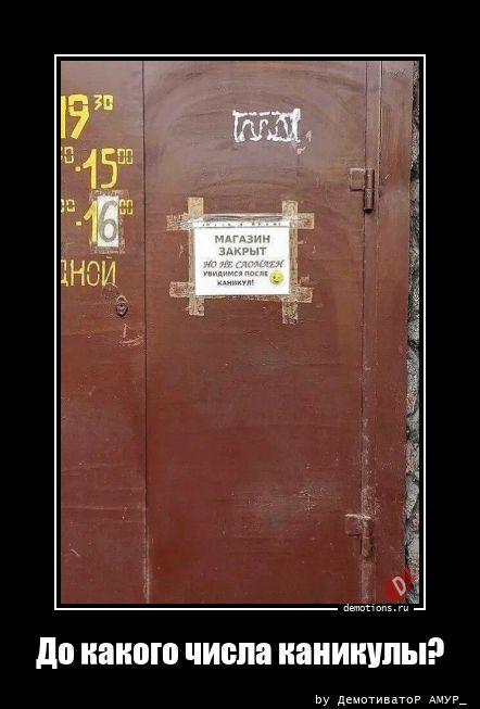 До какого числа каникулы?