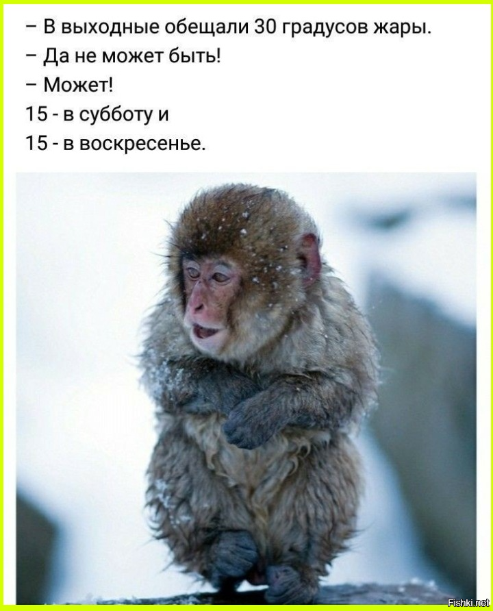 У нас тут, похоже, что и все 4 в сумме +30 не дадут 