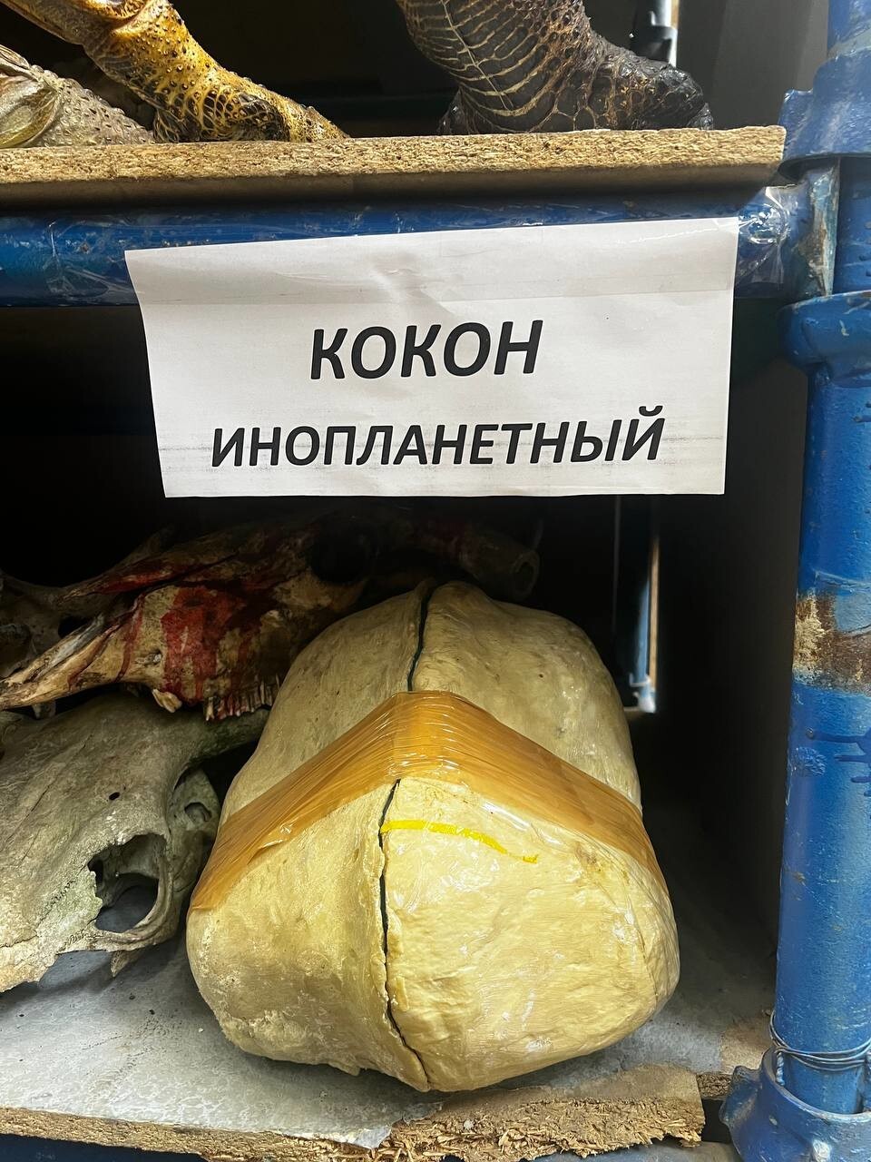 Побывал на киноскладе в Москве. Что тут хранится?
