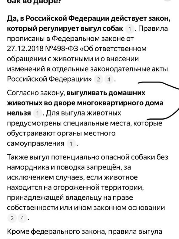 "Решила меня снять на камеру, захотела прославиться!": Сергей Зверев устроил скандал из-за собаки, напавшей на его кошку