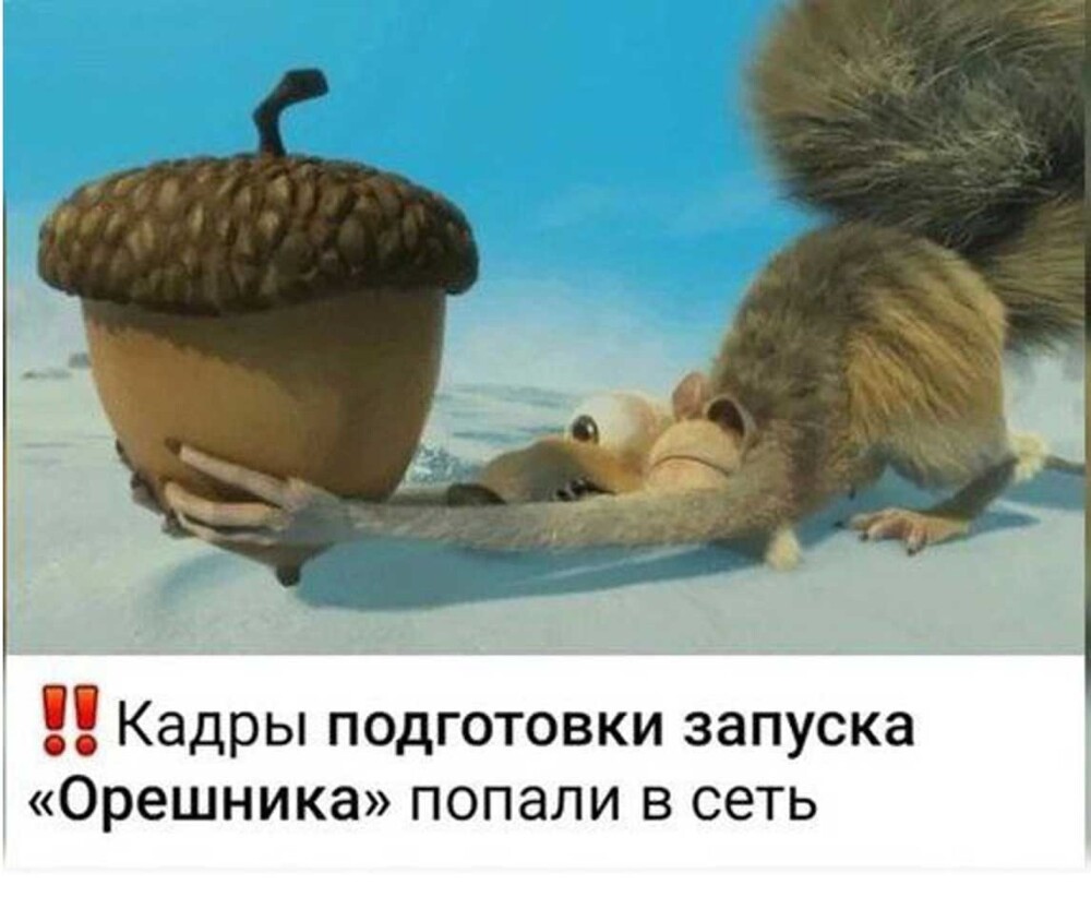 О политике и не только