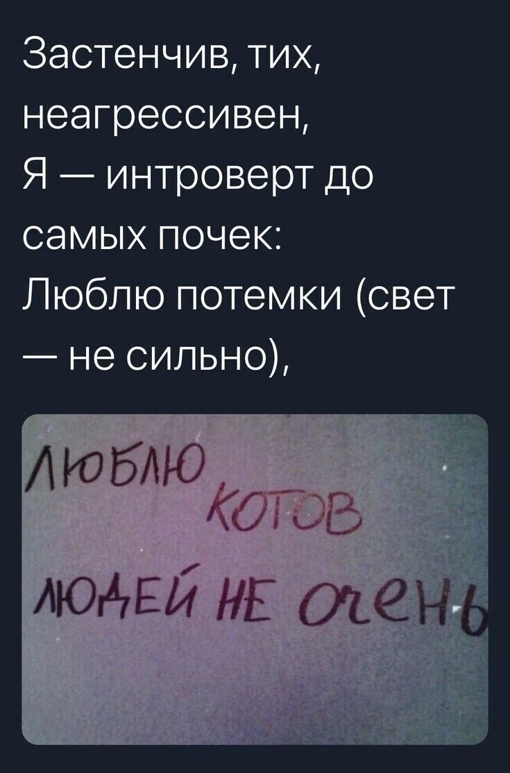О политике и не только