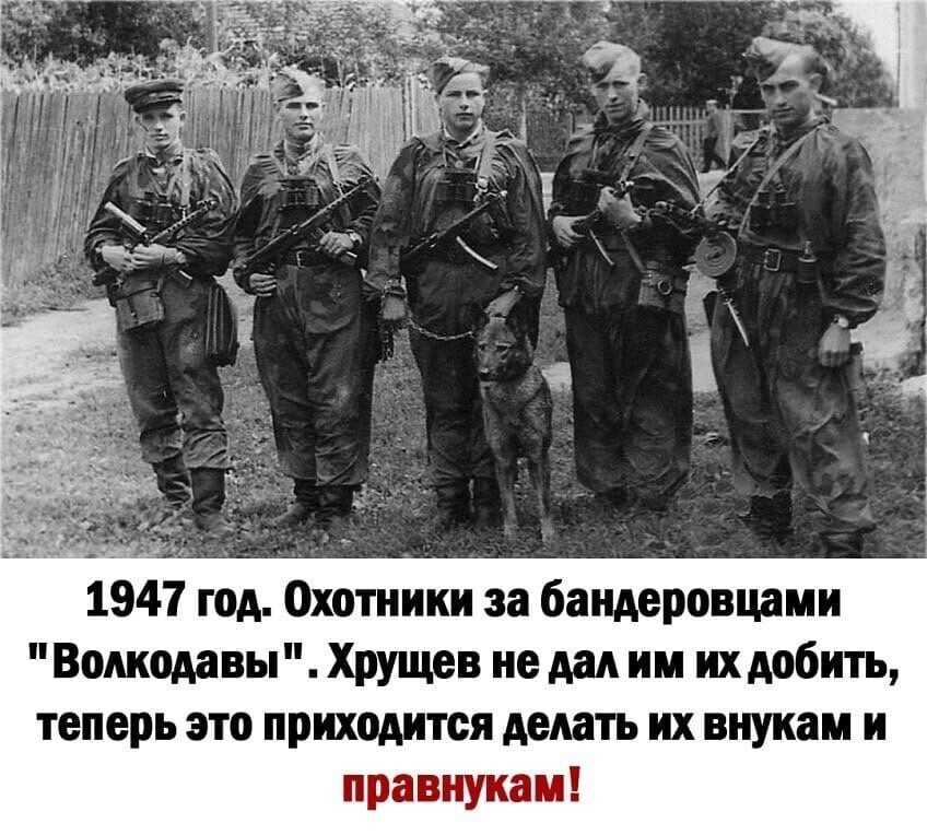 Политические картинки - 3290 Политические картинки - 3290